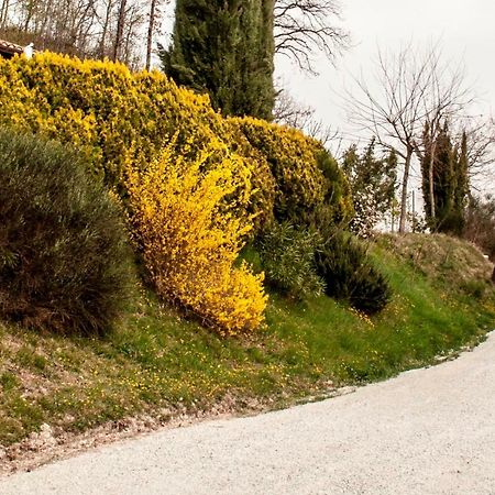 Calmancino Delle Selve Urbino Exterior foto