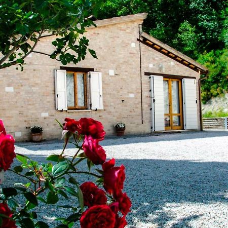 Calmancino Delle Selve Urbino Exterior foto