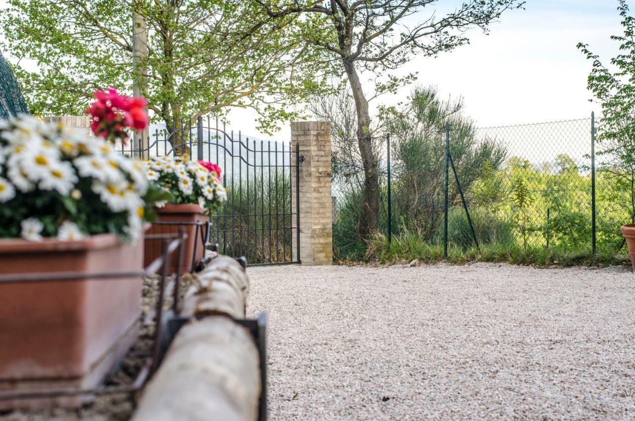 Calmancino Delle Selve Urbino Exterior foto