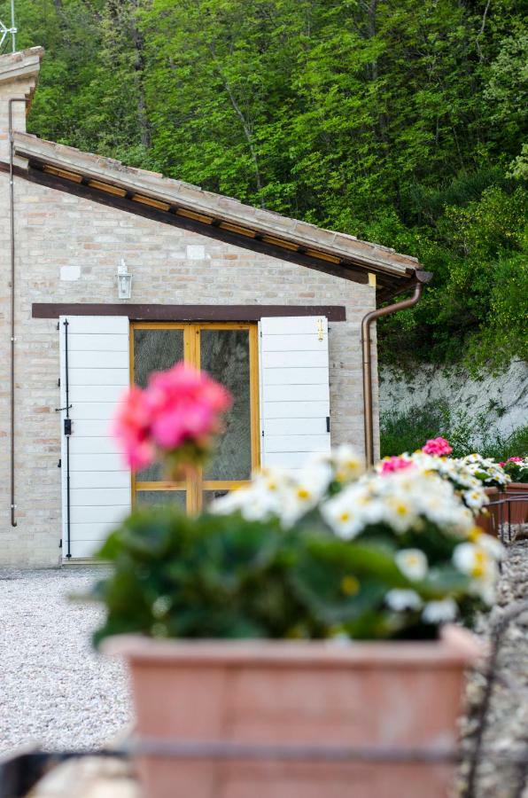 Calmancino Delle Selve Urbino Exterior foto