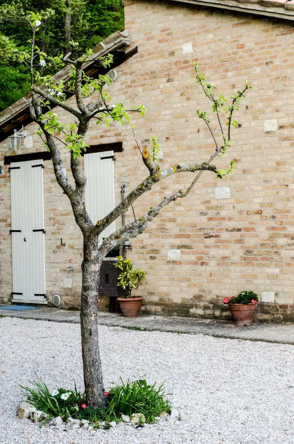 Calmancino Delle Selve Urbino Exterior foto