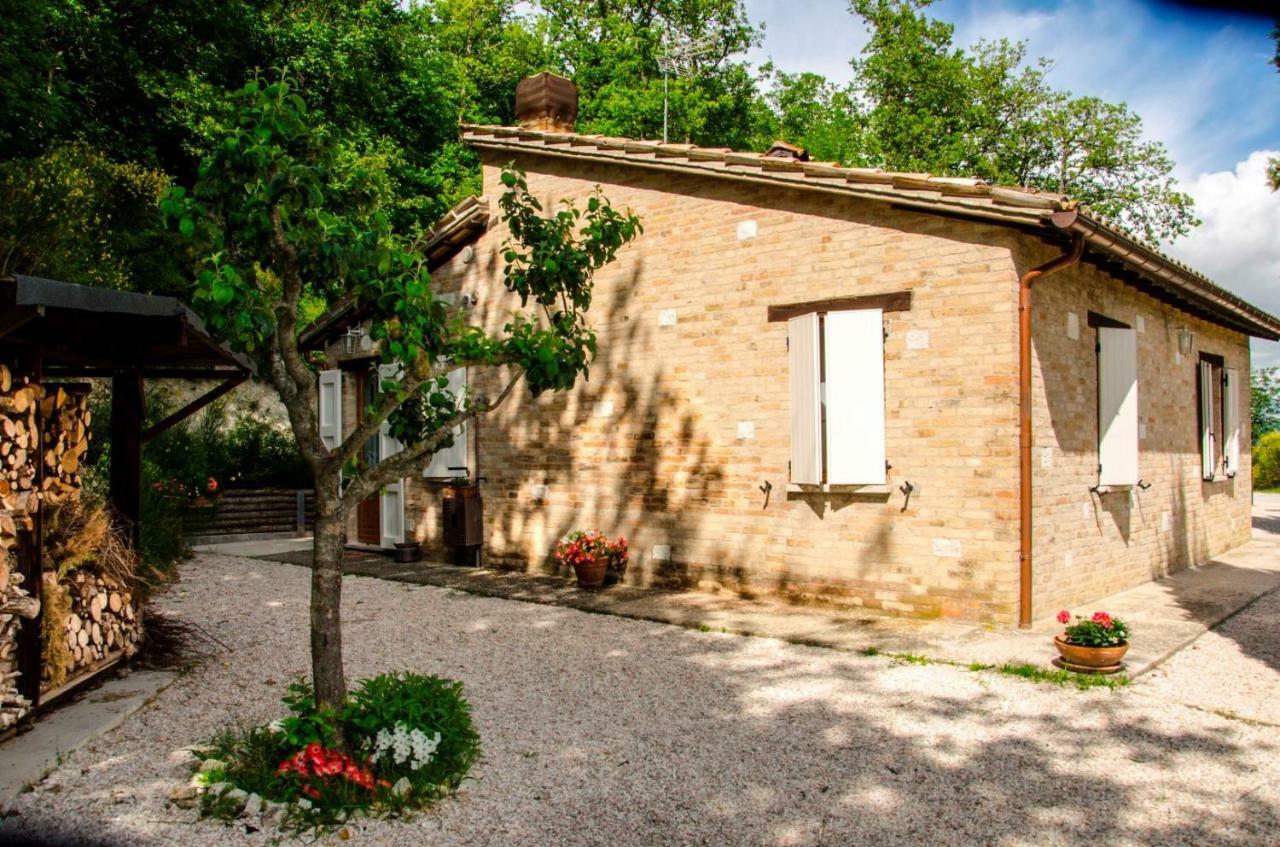 Calmancino Delle Selve Urbino Exterior foto