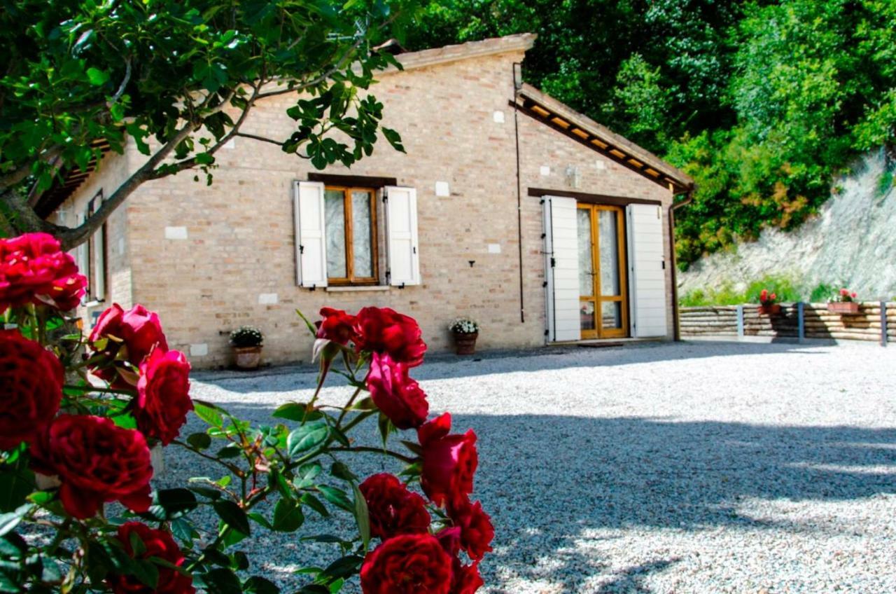 Calmancino Delle Selve Urbino Exterior foto