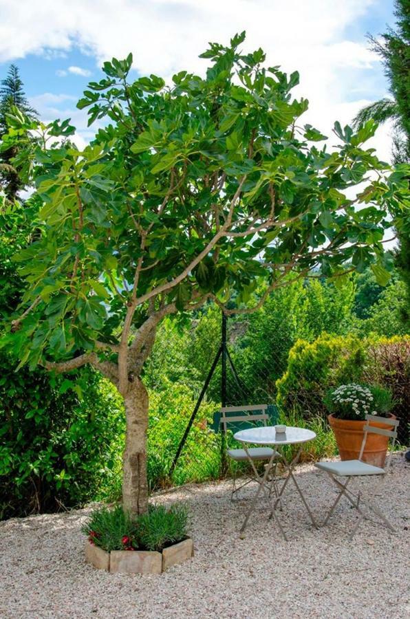 Calmancino Delle Selve Urbino Exterior foto