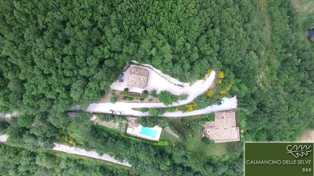 Calmancino Delle Selve Urbino Exterior foto