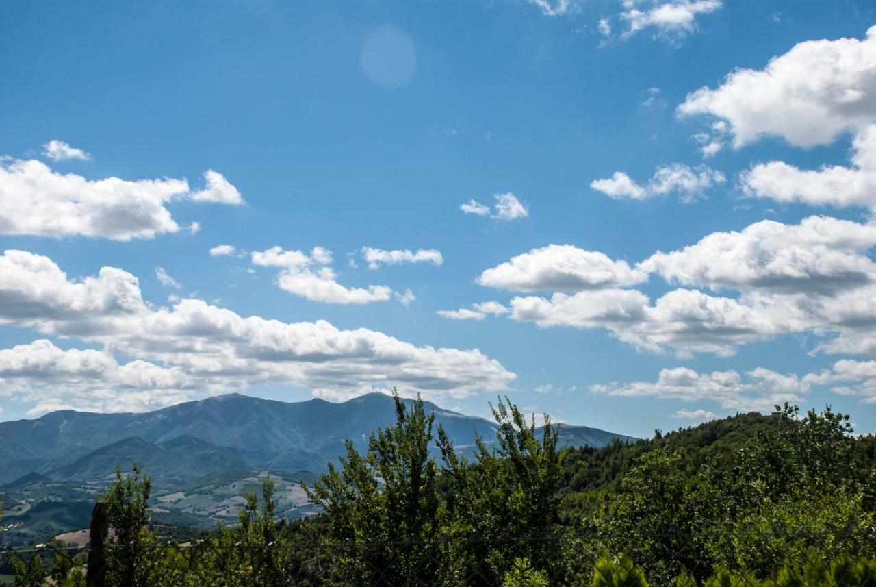 Calmancino Delle Selve Urbino Exterior foto