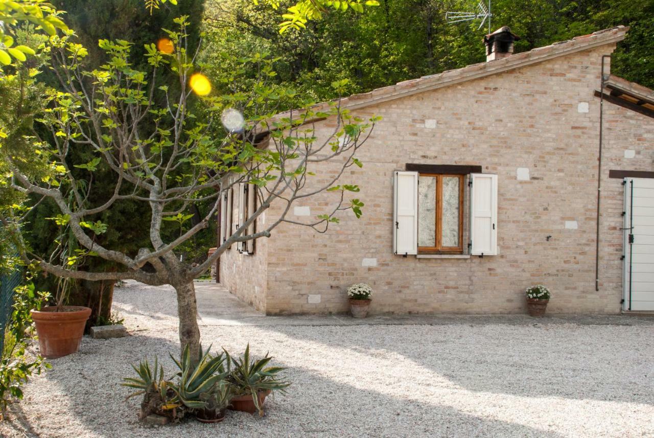 Calmancino Delle Selve Urbino Exterior foto