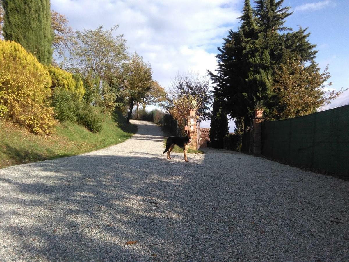 Calmancino Delle Selve Urbino Exterior foto